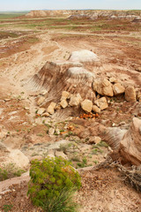 Petrified Forest National Park  in  Arizona named for its large deposits of petrified wood