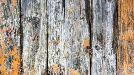 Old wood painted texture background.