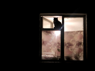 dark room in the silhouette of a cat sitting on a sunset