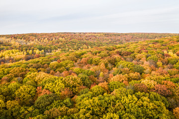 Aerial view of beautiful autumn colors forest