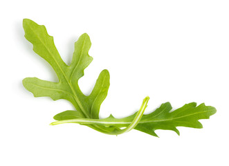 Arugula on white background