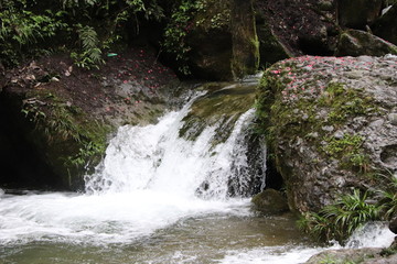Beautiful landscape of cascade falls over mossy rocks, stones cover with moss, in a Mountain in Sichuan, China