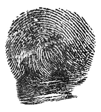 Black ink fingerprint isolated on a white background. Police fingerprints. Imprint of index finger.