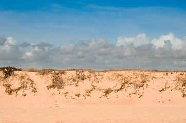 mound of orange sand and dry grass, blue sky with clouds, summer sunny day.