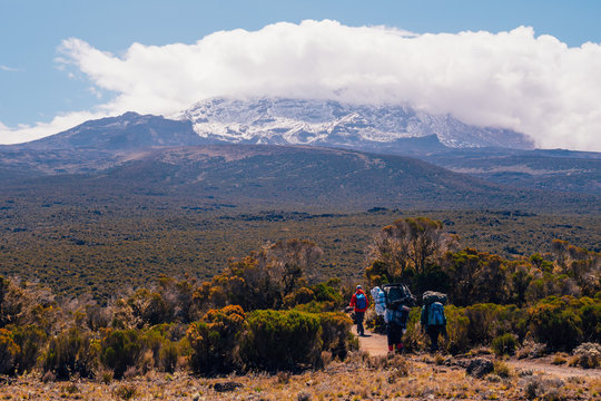 African Porters who are carrying stuff on their head