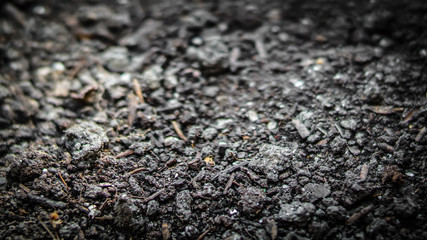 Rich soil in a flower bed with shallow depth of field