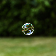 lone bubble floating 