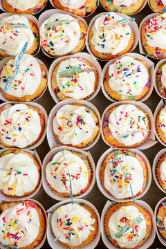 Rows of colorful cupcakes in a box.
