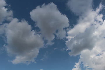 Today's sky is beautiful, floating clouds look bright.