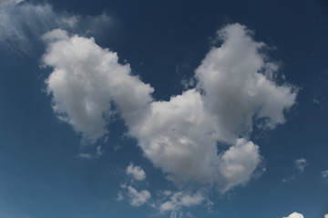 Today's sky is beautiful, floating clouds look bright.