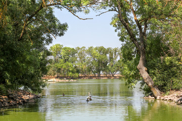 Incredible Nature Landscape. Wonderful Scenic Image. Stunning sunny Landscape over the Lake. Wonderful Sunny Scene with Calm Fairytale Lake. spring landscape, birds on the lake