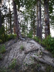 Fototapeta premium summer weekend in imatra finland