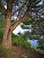 summer weekend in imatra finland