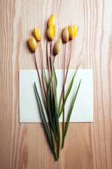 beautiful wild yellow tulips on wooden background