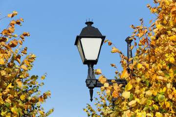 Beautiful street lamp in the blue sky background. Autumn in the city.