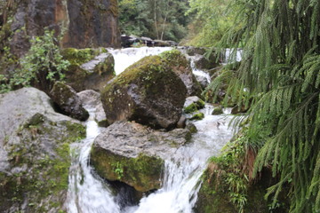 Fototapeta na wymiar Beautiful landscape of cascade falls over mossy rocks, stones cover with moss, in a Mountain in Sichuan, China