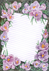 Watercolor blooming crocus background. Beautiful spring flowers frame with striped space for text