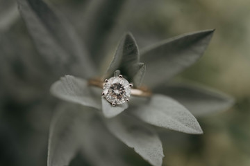 Closeup of a diamond engagement ring