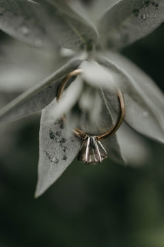 Closeup of a diamond engagement ring