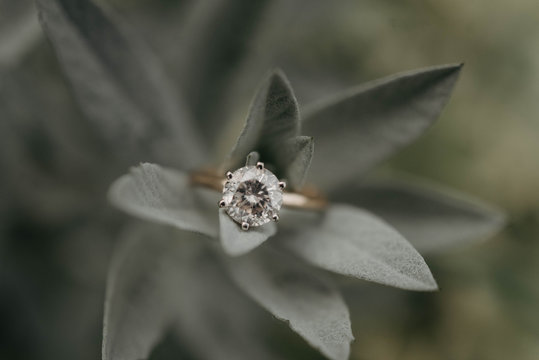 Closeup of a diamond engagement ring