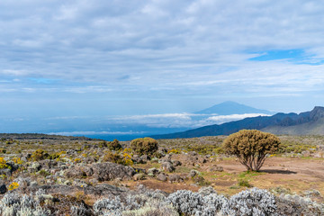 Beautiful landscape of Tanzania and Kenya from Kilimanjaro mountain.