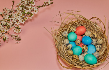 a basket in the form of a nest with Easter chicken and quail eggs on a pink background and a branch of a blossoming tree