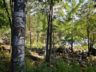 Fototapeta premium imatra finland