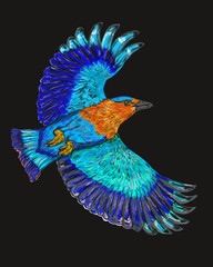 Bird Flying In The Dark