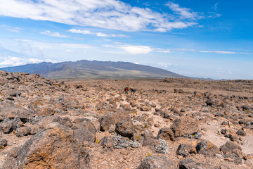 Beautiful landscape of Tanzania and Kenya from Kilimanjaro mountain.