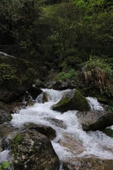 Beautiful landscape of cascade falls over mossy rocks, stones cover with moss, in a Mountain in Sichuan, China