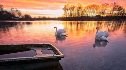 sunshine on the river © Dawid