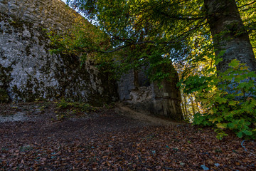 Autumn hike in the Danube valley
