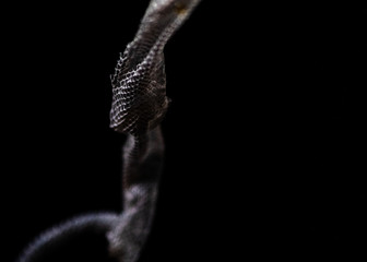 Obraz premium CULEBRA