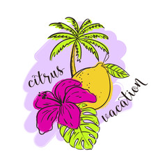 Tropical illustration with citrus fruit lemon, leafs and a flower - 336223389