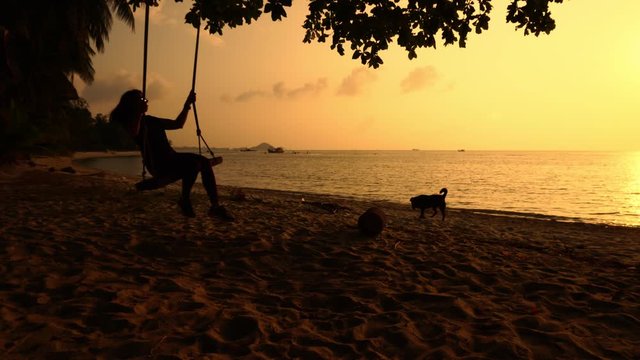 Girl is swinging on swings at ocean shore while sun goes down. Young woman is teeting back and forth, watching at the water and speaking with the dog walking behind her. Theme of vacation at Thailand.