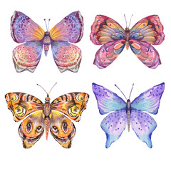 Fototapeta na wymiar Watercolor summer natural set of colorful butterfly.