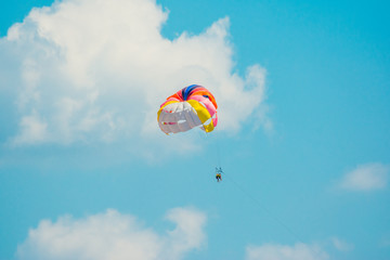 man parachuting above the sea