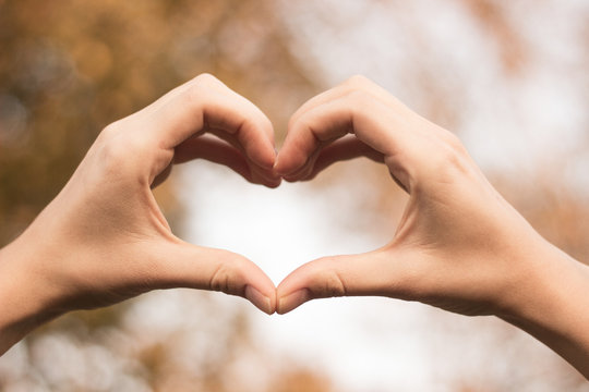 Heart symbol with hands. Nature bokeh background
