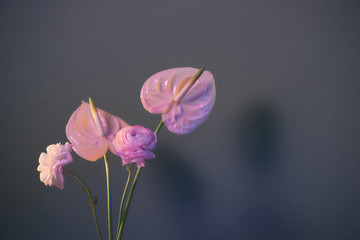 Mixed flower arrangement: various flowers