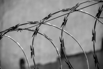 Barbed wire fence in black and white