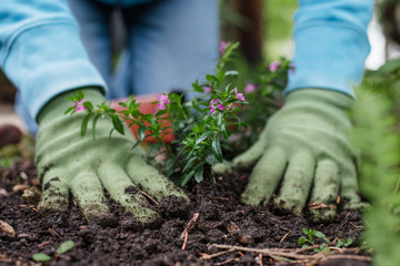 Gardener Hands Detail