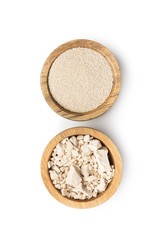 Dried and fresh yeast blocks.