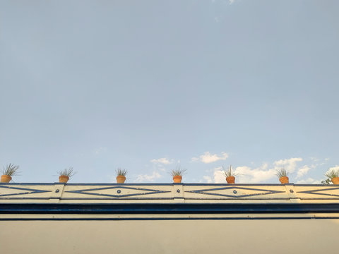 Plants in pots on the rooftop