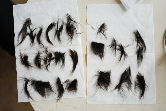 The hair cut from the first time on the head of a newborn baby