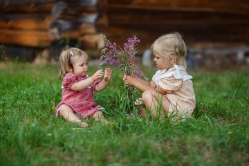 girls children walk in the meadow, collect wild flowers, baby takes the first steps, sisters, happy childhood, summer
