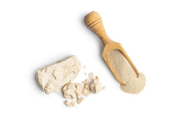 Dried and fresh yeast blocks.