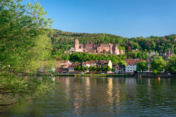 Fototapeta na wymiar Heidelberg castle along the Neckar river, Baden-Württemberg, Germany