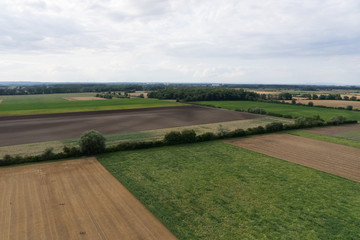 Fototapeta na wymiar Luftbild: Felder und Wiesen-Landschaft an der hessischen Bergstrasse