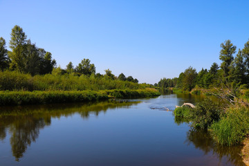 A winding shallow river on a clear summer day.