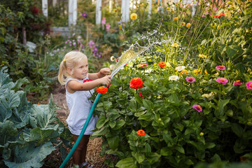 girl child in the garden watering plants, a small gardener, summer in the village